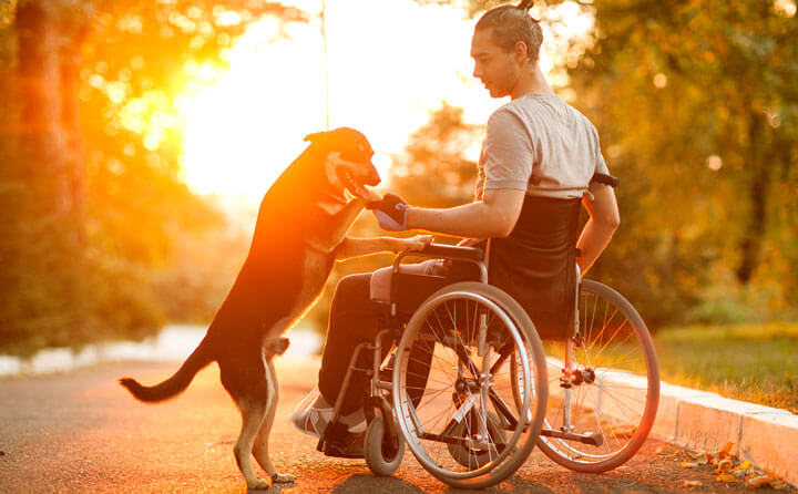 Happy man with his dog at sunset